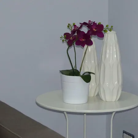 Casa Vesuvio Apartment Cercola